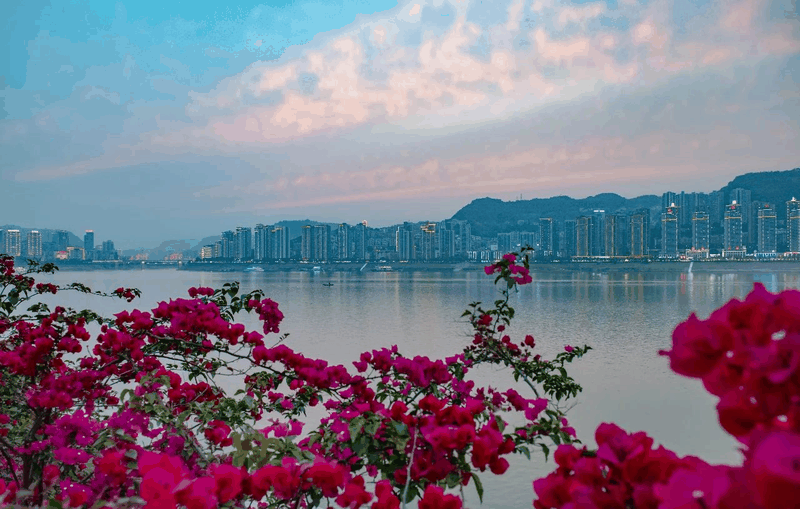 刚刚传来的消息！想在万州买房的赶紧看！