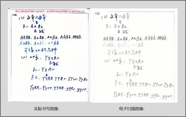 中高考电脑阅卷流程这样的！读完可多拿20分（转给考生，这对他们有用）