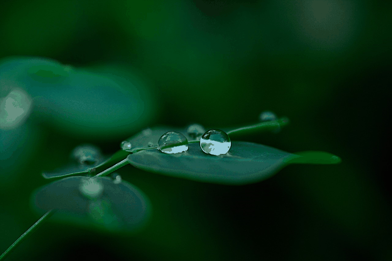 今日立秋